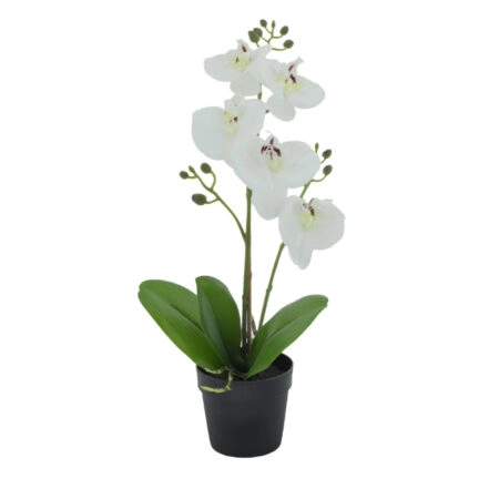 ORCHID 3 ΦΥΤΟ ΤΕΧΝΗΤΟ ΣΕ ΓΛΑΣΤΡΑ 35cm PE/PP ΛΕΥΚΟ ΠΡΑΣΙΝΟ PEVA - 