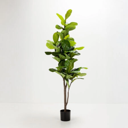 FICUS PANDURATA ΔΕΝΤΡΟ ΤΕΧΝΗΤΟ ΣΕ ΓΛΑΣΤΡΑ 180cm ΥΦΑΣΜΑ ΠΡΑΣΙΝΟ PVC - 