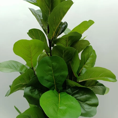 FICUS PANDURATA ΔΕΝΤΡΟ ΤΕΧΝΗΤΟ ΣΕ ΓΛΑΣΤΡΑ 180cm ΥΦΑΣΜΑ ΠΡΑΣΙΝΟ PVC -  Sticky 1