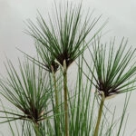 HEAD BAMBOO ΦΥΤΟ ΤΕΧΝΗΤΟ ΣΕ ΓΛΑΣΤΡΑ 95cm PVC ΠΡΑΣΙΝΟ