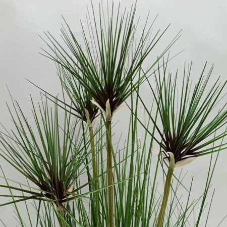 HEAD BAMBOO ΦΥΤΟ ΤΕΧΝΗΤΟ ΣΕ ΓΛΑΣΤΡΑ 95cm PVC ΠΡΑΣΙΝΟ -  Sticky 1