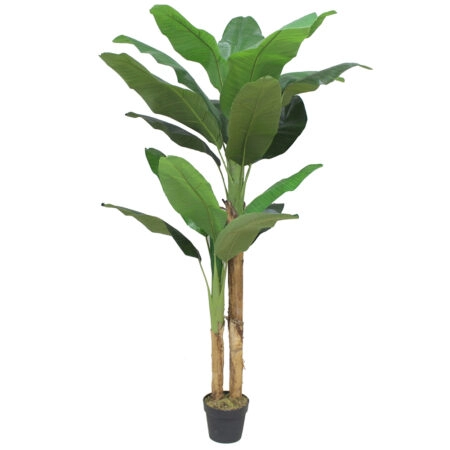 BANANA ΔΕΝΤΡΟ ΤΕΧΝΗΤΟ ΣΕ ΓΛΑΣΤΡΑ 180cm PEVA ΠΡΑΣΙΝΟ - 