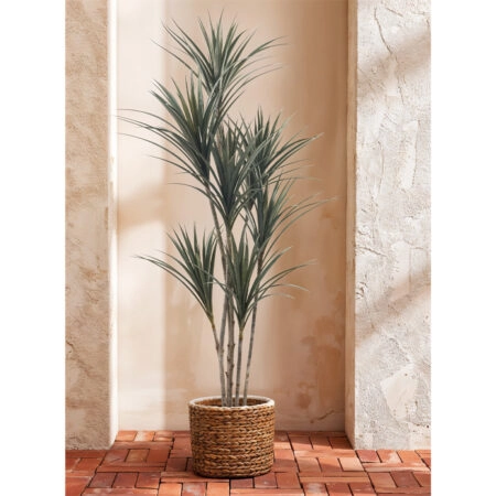 YUCCA ΔΕΝΤΡΟ ΤΕΧΝΗΤΟ ΣΕ ΓΛΑΣΤΡΑ 190cm PE ΠΡΑΣΙΝΟ -  Sticky 1
