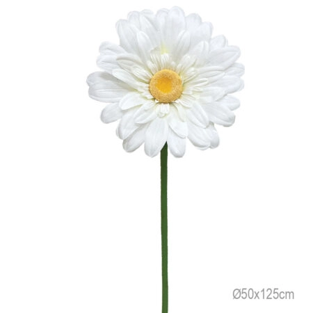 ΚΛΑΔΙ ΜΑΡΓΑΡΙΤΑ ΕΚΡΟΥ ΓΙΓΑΣ - Φ50x125cm 24/ΚΙΒ - Κασπω
