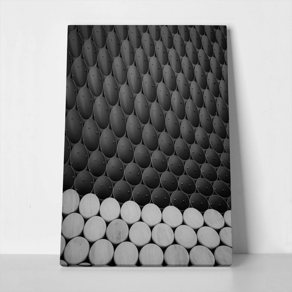 Πίνακας σε Καμβά BLACK AND WHITE ARCHITECTURAL ALIEN STRUCTURE