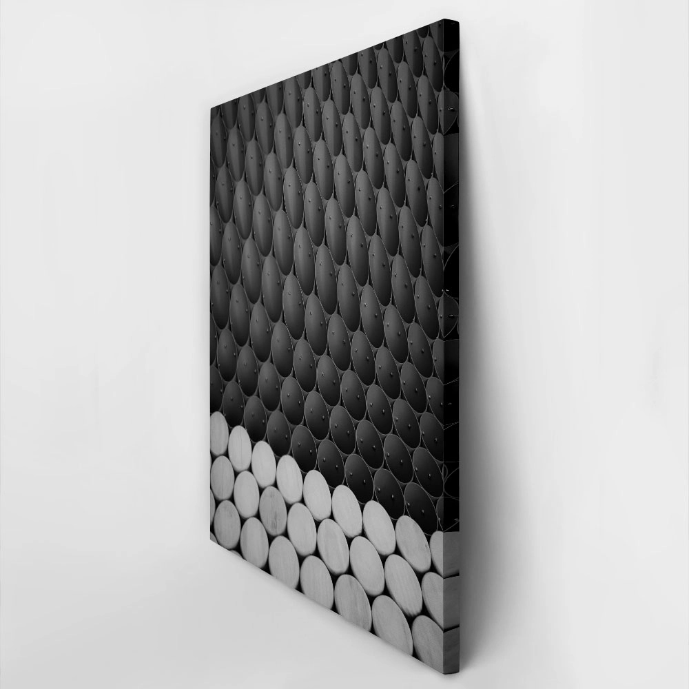 Πίνακας σε Καμβά BLACK AND WHITE ARCHITECTURAL ALIEN STRUCTURE