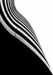 Πίνακας σε Καμβά BLACK AND WHITE ARCHITECTURAL CURVED BALCONIES