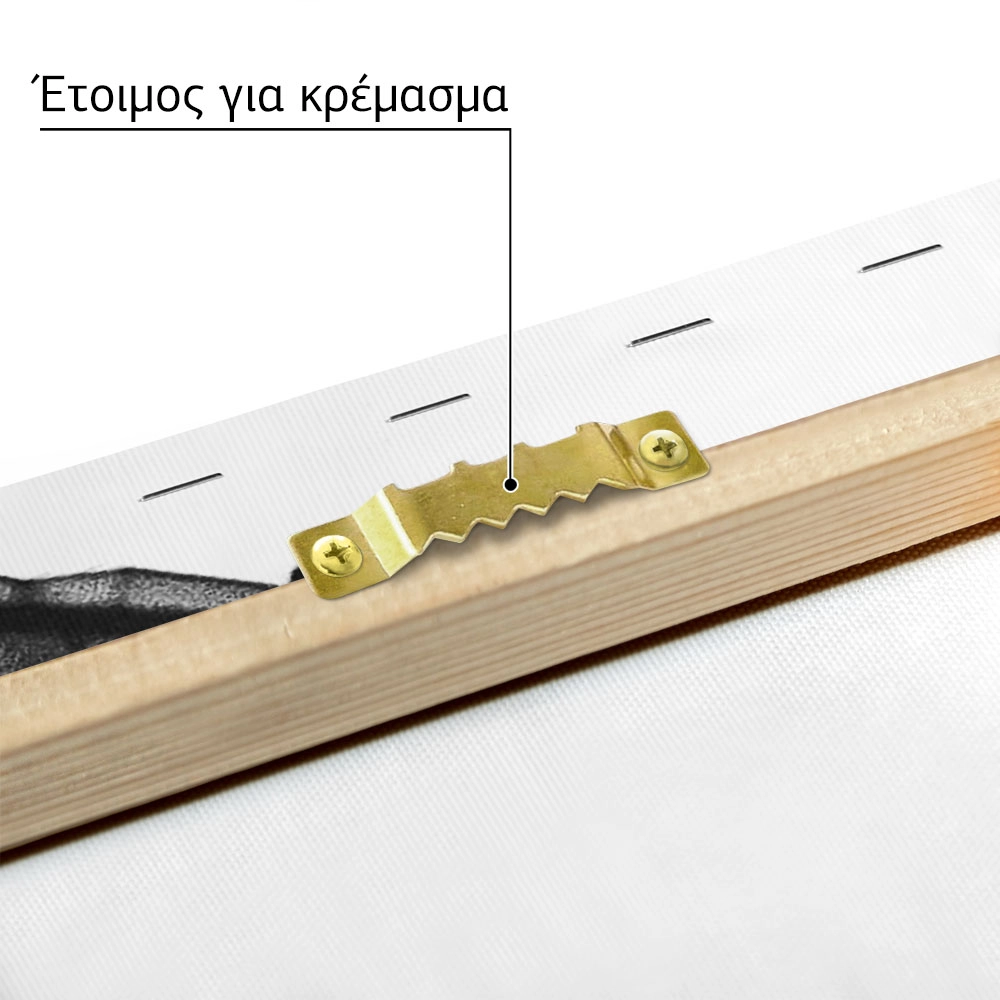 Πίνακας σε Καμβά BLACK AND WHITE ARCHITECTURAL HONEYCOMB FACADE 2
