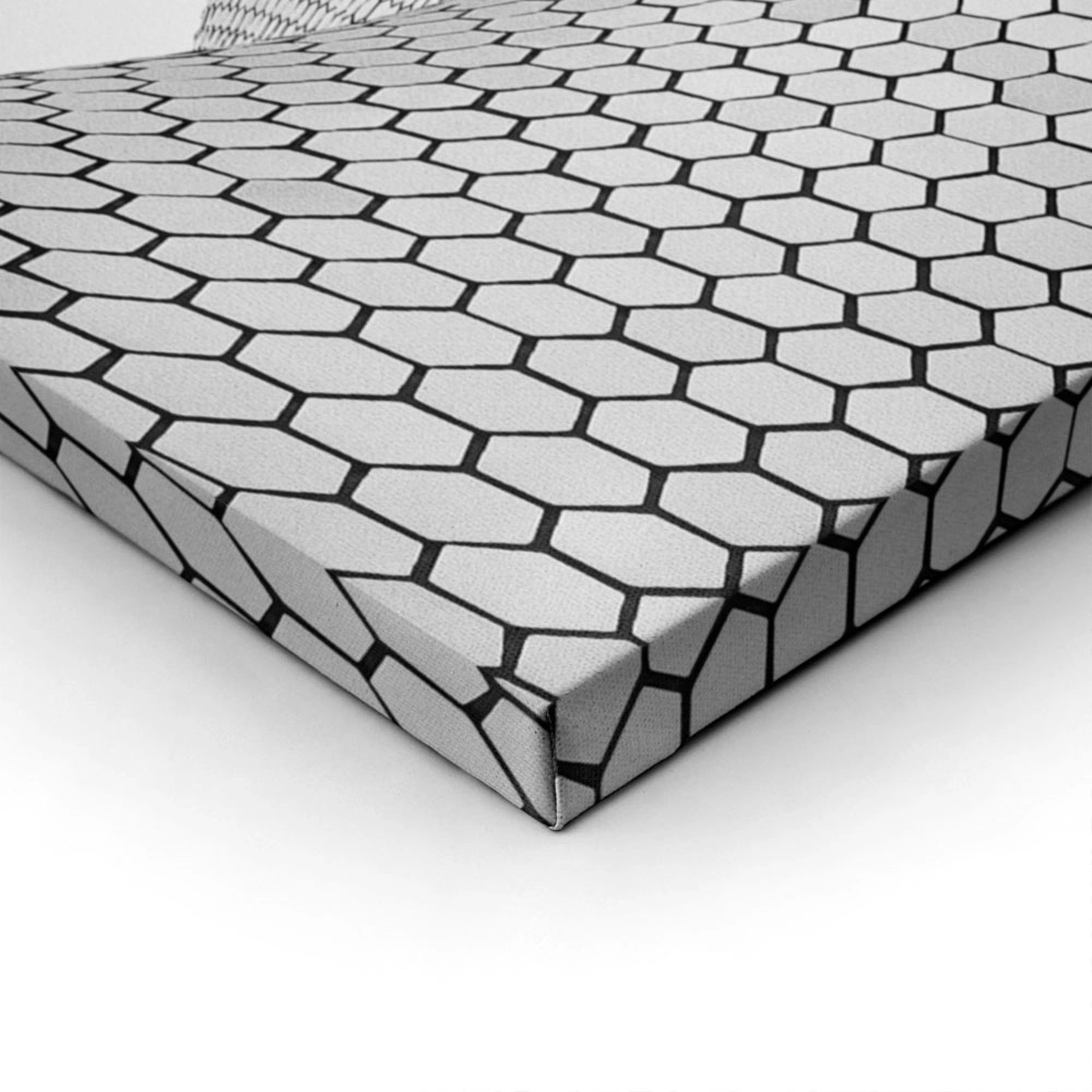 Πίνακας σε Καμβά BLACK AND WHITE ARCHITECTURAL HONEYCOMB FACADE