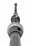Πίνακας σε Καμβά BLACK AND WHITE ARCHITECTURAL OBSERVATION TOWER