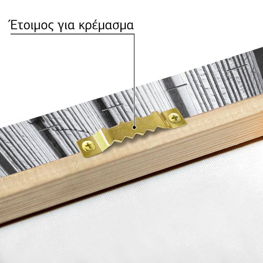 Πίνακας σε Καμβά BLACK AND WHITE ARCHITECTURAL SKYSCRAPERS 10
