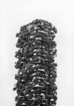 Πίνακας σε Καμβά BLACK AND WHITE ARCHITECTURAL VERTICAL FOREST