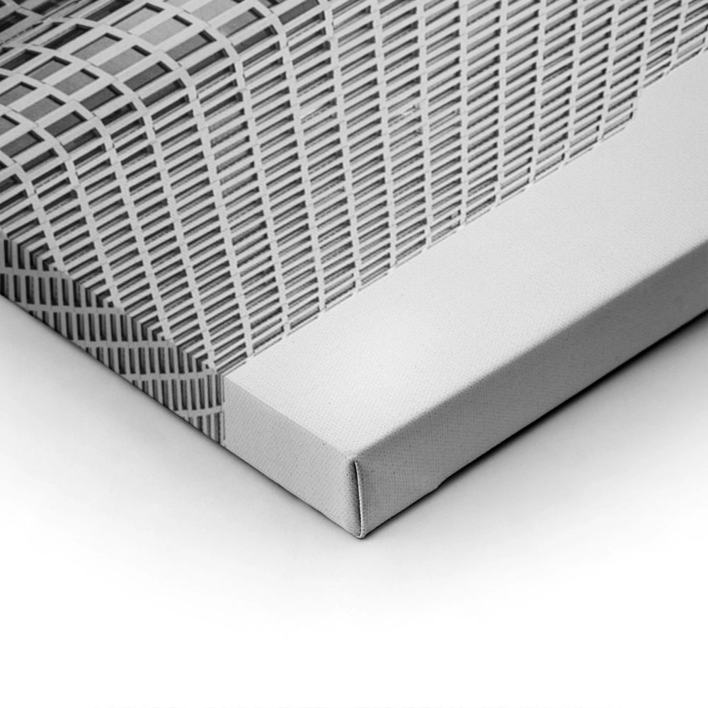 Πίνακας σε Καμβά BLACK AND WHITE ARCHITECTURAL WAVY FACADE