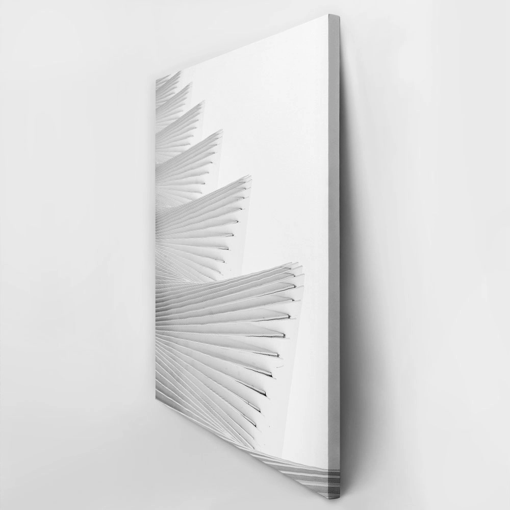 Πίνακας σε Καμβά BLACK AND WHITE ARCHITECTURAL WAVY STRUCTURAL BEAMS