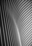 Πίνακας σε Καμβά BLACK AND WHITE ARCHITECTURAL WAVY STRUCTURAL ELEMENTS