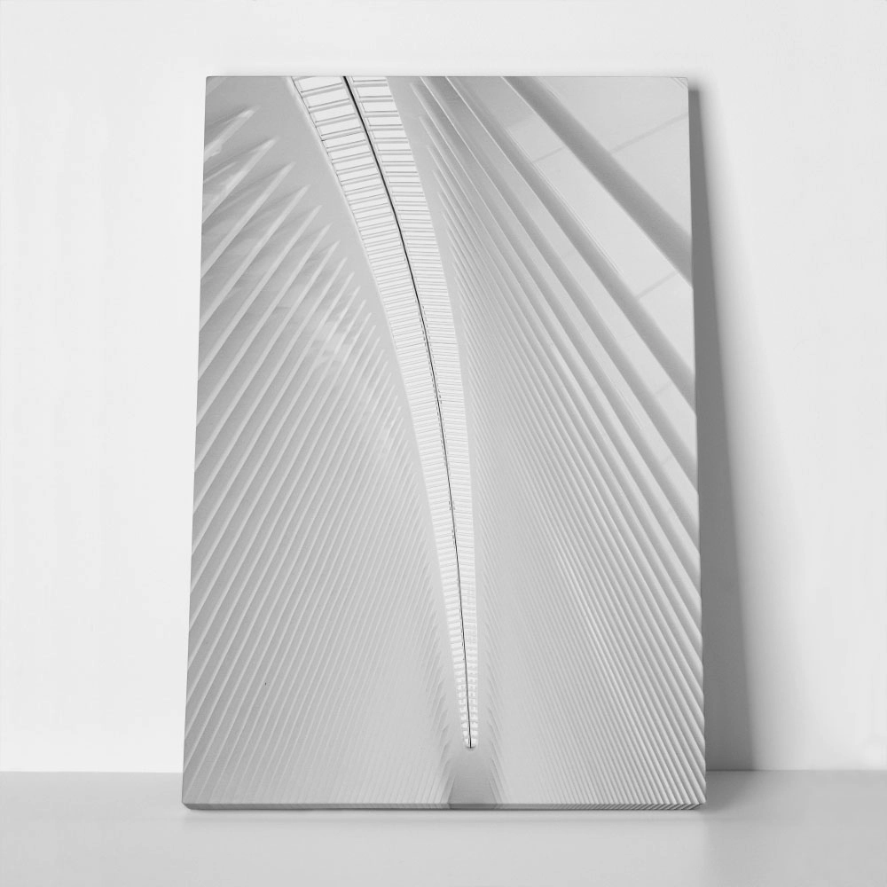 Πίνακας σε Καμβά BLACK AND WHITE ARCHITECTURAL WHITE STEEL RIBS