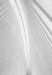 Πίνακας σε Καμβά BLACK AND WHITE ARCHITECTURAL WHITE STEEL RIBS