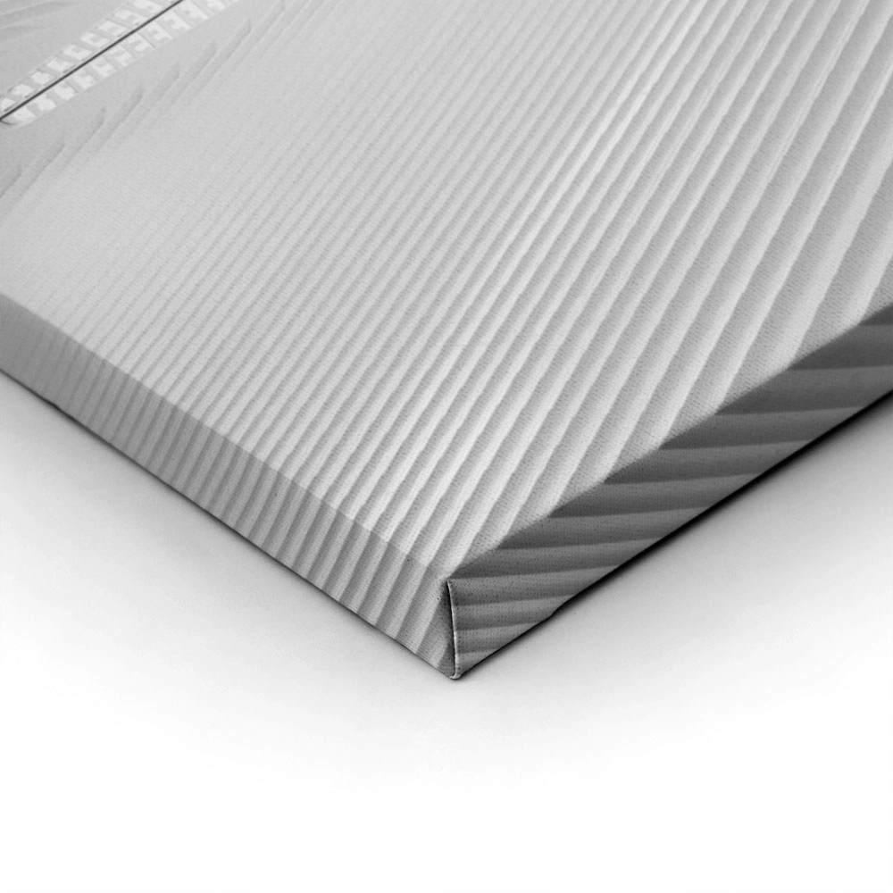 Πίνακας σε Καμβά BLACK AND WHITE ARCHITECTURAL WHITE STEEL RIBS