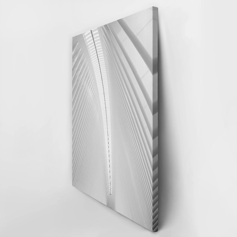 Πίνακας σε Καμβά BLACK AND WHITE ARCHITECTURAL WHITE STEEL RIBS