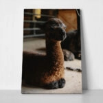 Πίνακας σε Καμβά RUSTIC FARMHOUSE ALPACA