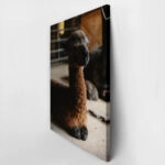 Πίνακας σε Καμβά RUSTIC FARMHOUSE ALPACA