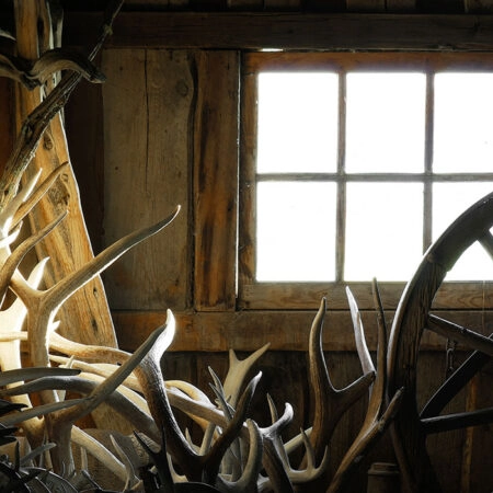 Πίνακας σε Καμβά RUSTIC FARMHOUSE ANTLERS -  Sticky 5