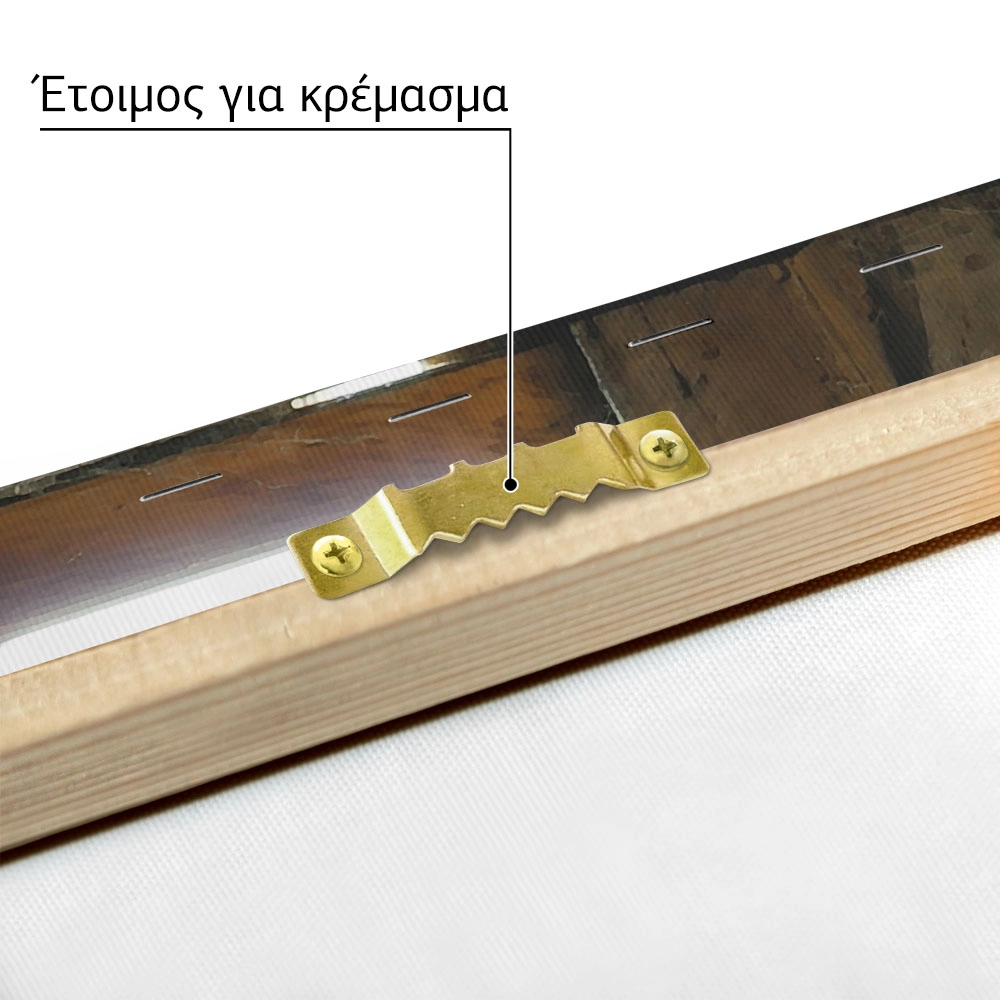 Πίνακας σε Καμβά RUSTIC FARMHOUSE ANTLERS