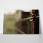 Πίνακας σε Καμβά RUSTIC FARMHOUSE BARBWIRE 2