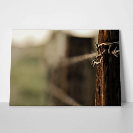Πίνακας σε Καμβά RUSTIC FARMHOUSE BARBWIRE 2 - 