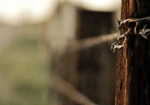 Πίνακας σε Καμβά RUSTIC FARMHOUSE BARBWIRE 2