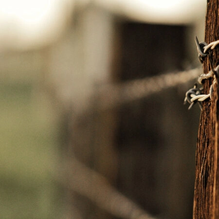 Πίνακας σε Καμβά RUSTIC FARMHOUSE BARBWIRE 2 -  Sticky 5
