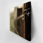 Πίνακας σε Καμβά RUSTIC FARMHOUSE BARBWIRE 2