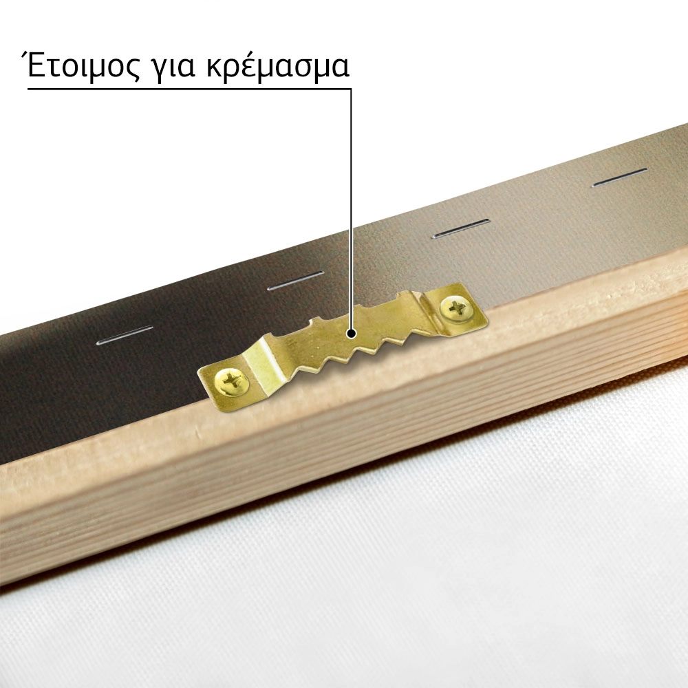Πίνακας σε Καμβά RUSTIC FARMHOUSE BARBWIRE 2