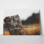 Πίνακας σε Καμβά RUSTIC FARMHOUSE BARBWIRE