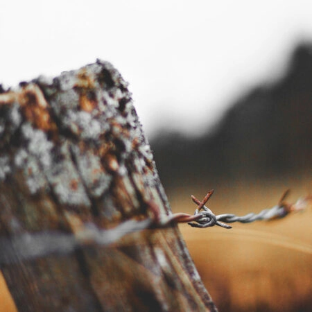 Πίνακας σε Καμβά RUSTIC FARMHOUSE BARBWIRE -  Sticky 5