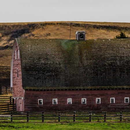 Πίνακας σε Καμβά RUSTIC FARMHOUSE BARN 10 -  Sticky 5