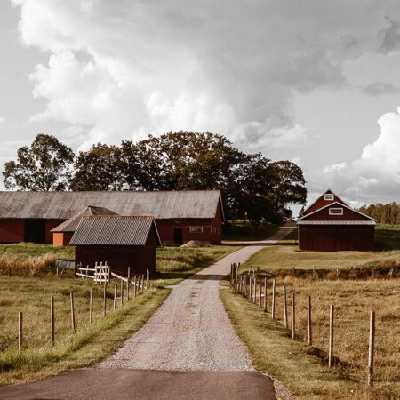 Πίνακας σε Καμβά RUSTIC FARMHOUSE BARN 11 -  Sticky 5