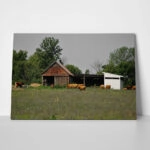 Πίνακας σε Καμβά RUSTIC FARMHOUSE BARN 19