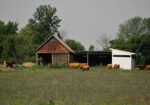 Πίνακας σε Καμβά RUSTIC FARMHOUSE BARN 19