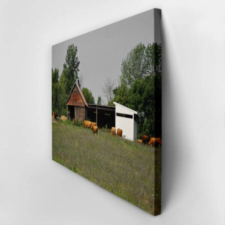 Πίνακας σε Καμβά RUSTIC FARMHOUSE BARN 19 -  Sticky 2