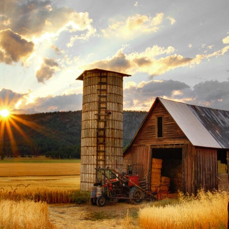 Πίνακας σε Καμβά RUSTIC FARMHOUSE BARN 27 -  Sticky 5