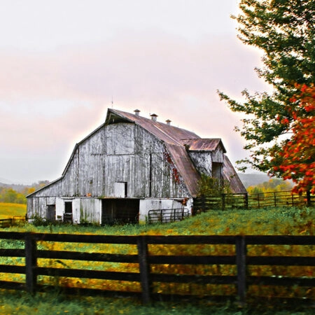 Πίνακας σε Καμβά RUSTIC FARMHOUSE BARN 3 -  Sticky 5
