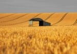 Πίνακας σε Καμβά RUSTIC FARMHOUSE BARN 9