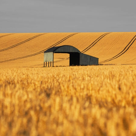 Πίνακας σε Καμβά RUSTIC FARMHOUSE BARN 9 -  Sticky 5