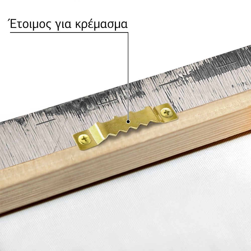 Πίνακας σε Καμβά RUSTIC FARMHOUSE BASKET 3