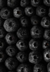 Πίνακας σε Καμβά RUSTIC FARMHOUSE BERRIES 2
