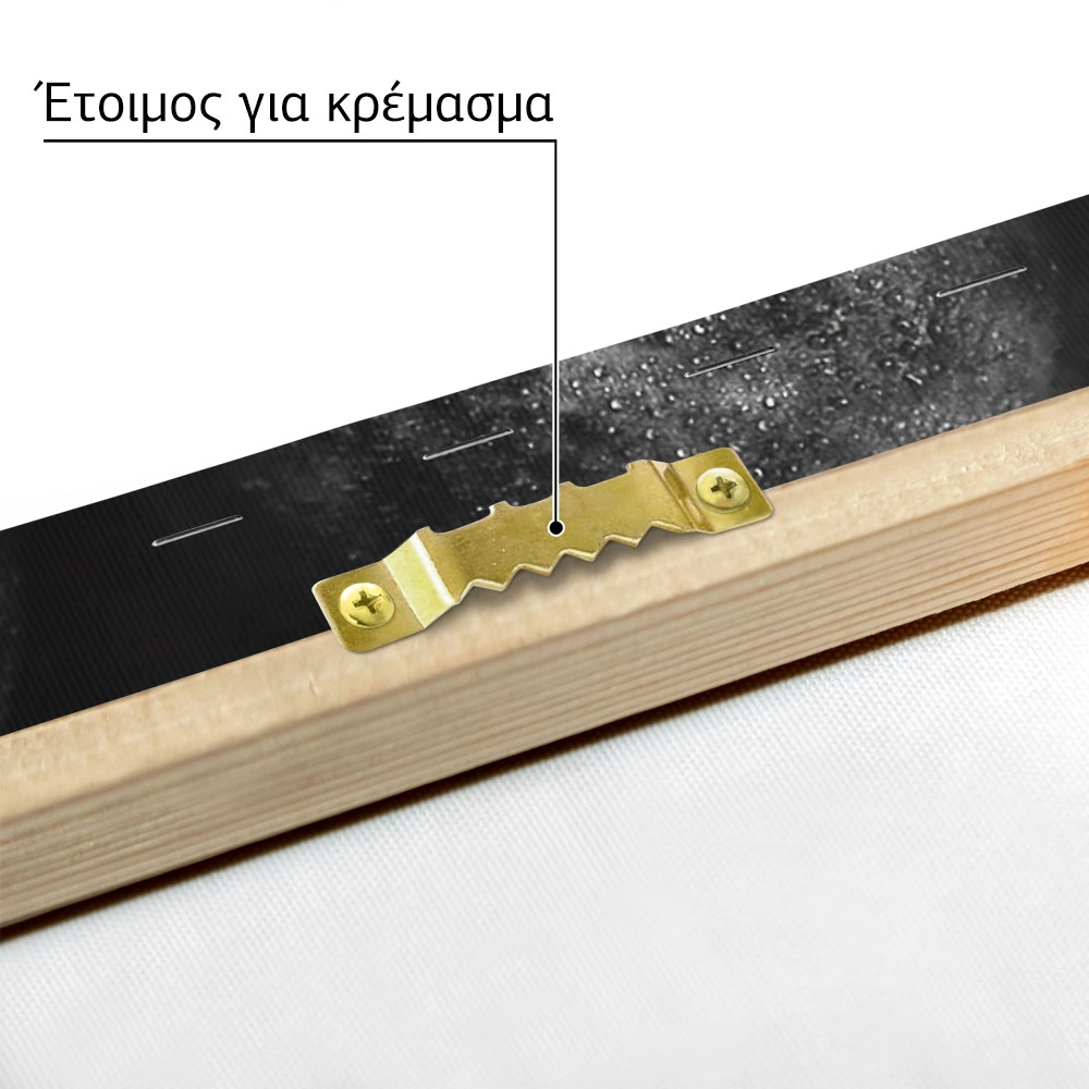 Πίνακας σε Καμβά RUSTIC FARMHOUSE BERRIES 2