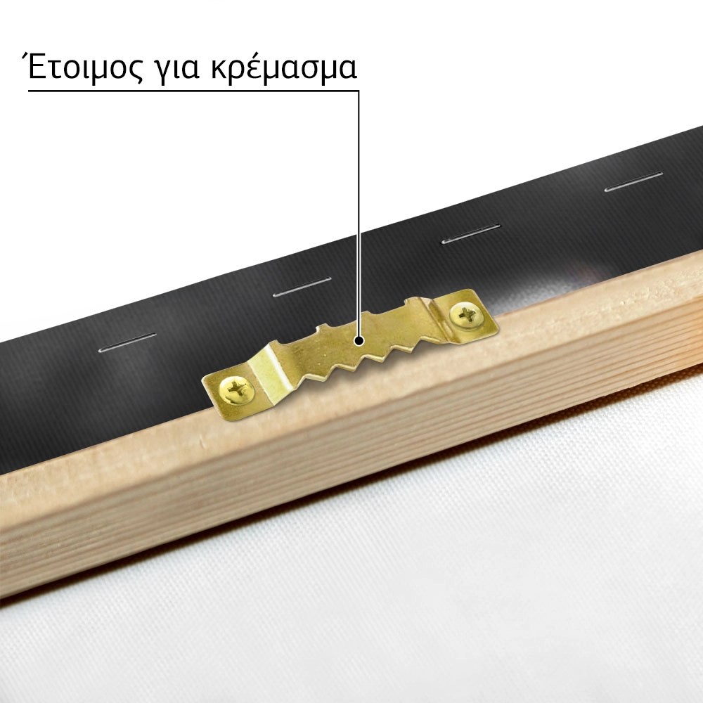 Πίνακας σε Καμβά RUSTIC FARMHOUSE BERRIES