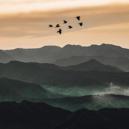 Πίνακας σε Καμβά RUSTIC FARMHOUSE BIRDS FLYING -  Sticky 5