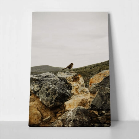 Πίνακας σε Καμβά RUSTIC FARMHOUSE BIRD - 